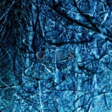 Gas - Nah Und Fern (CD4) '2008