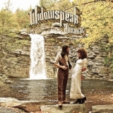 Widowspeak - Almanac '2013 - Album