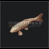 The Nighthawks - Selection '2007 - Album
