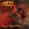 John O'callaghan - Never Fade Away '2009