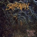 Suffocation - Effigy of the Forgotten / Pierced From Within (CD2: Pierced From Within) '1995