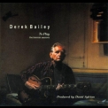Derek Bailey - To Play - The Blemish Sessions '2006