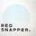 Red Snapper - A Pale Blue Dot '2008