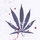 alt=